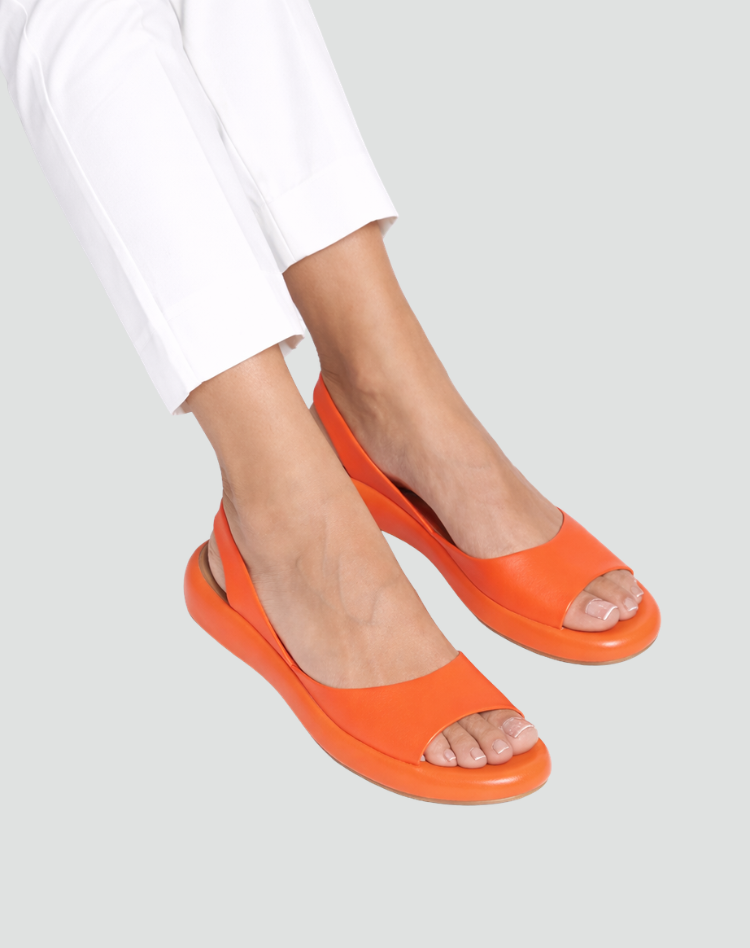 Orange / 43