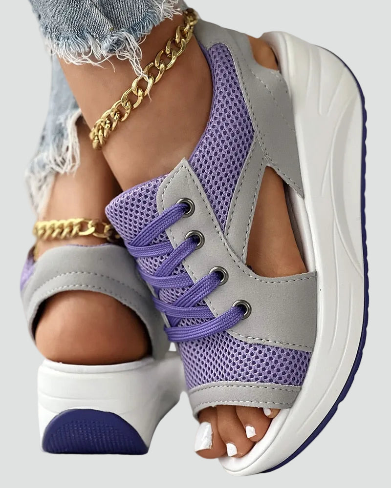 Purple / 42